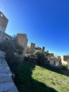 IMG_4259