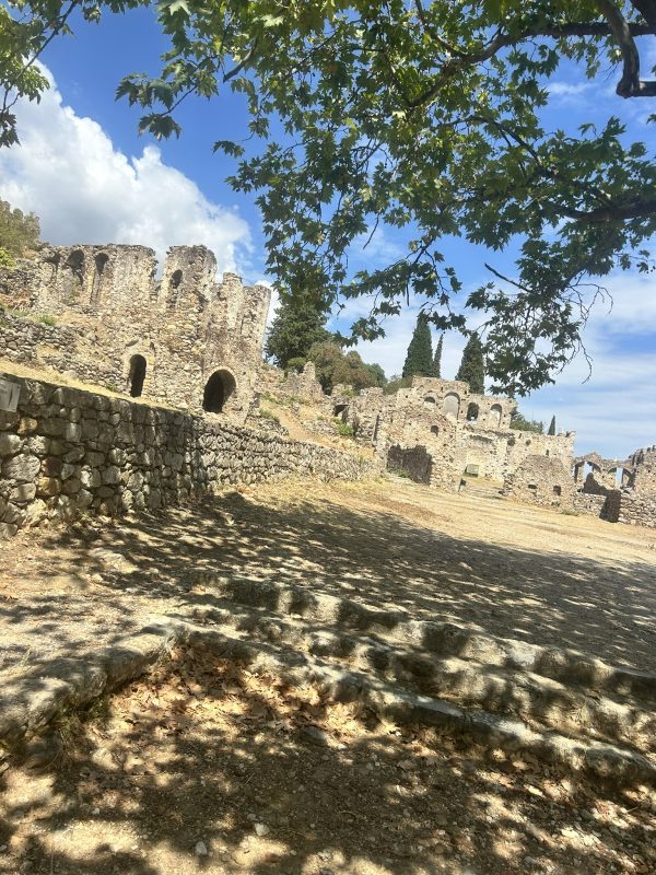 Spartan Culture & Olive Oil Experience
