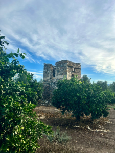 Ανώνυμο (4000 x 5000 px) (5)